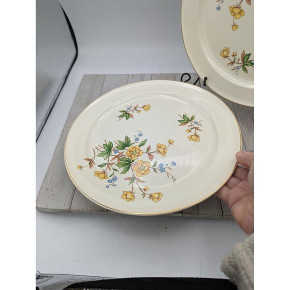 Vintage Set 4 Taylor Smith Taylor Dinner Plates 10" Yellow Buttercups TST237 - Picture 5 of 9